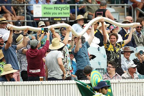 Once brought to life by empty pints, the beer snake has become endangered. Sam Borden journeyed to the Cricket World Cup to try to catch a glimpse of these fan-created reptiles. | ESPN.com